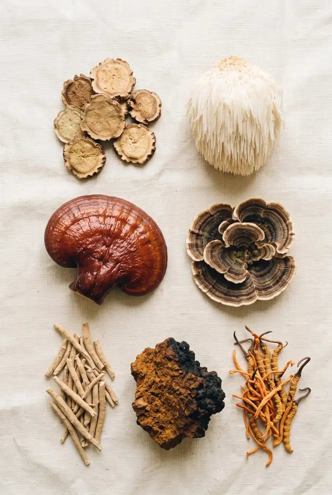 Thoughtfully Selected Adaptogens