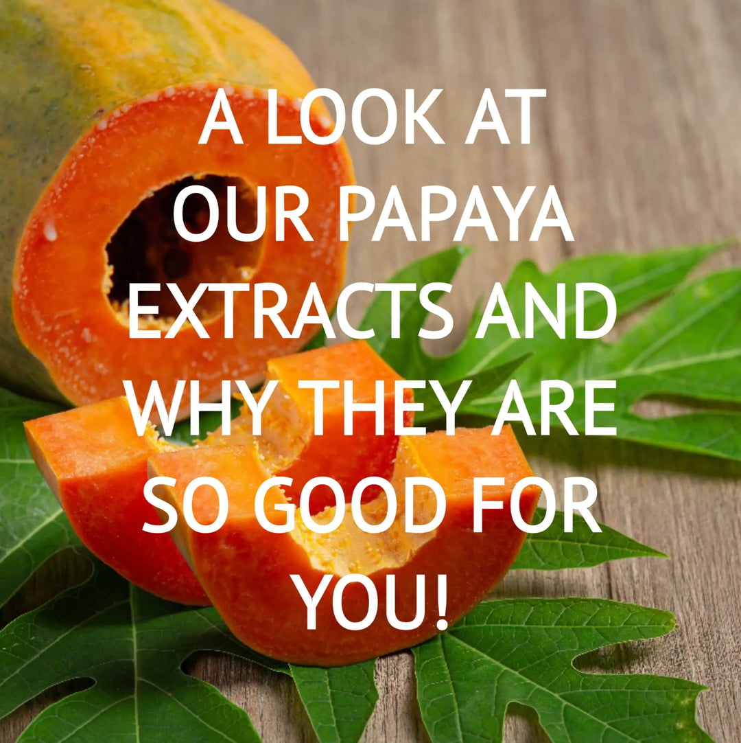 A Look at Our Papaya Leaf Extracts & Why They’re So Good For You! | Herbal Goodness