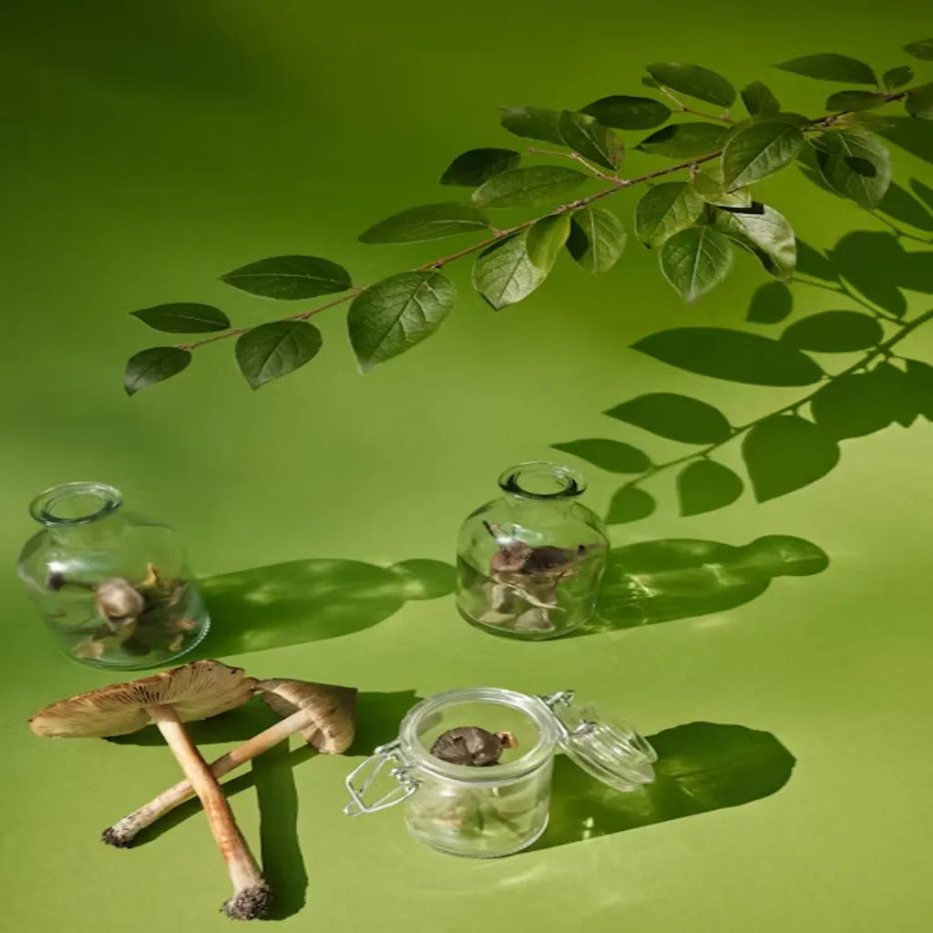 Combining Meditation with Herbal Remedies for Ultimate Stress Support