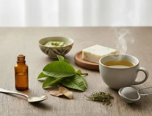 Guava Leaf Guide: Benefits, Uses, and Everyday Applications