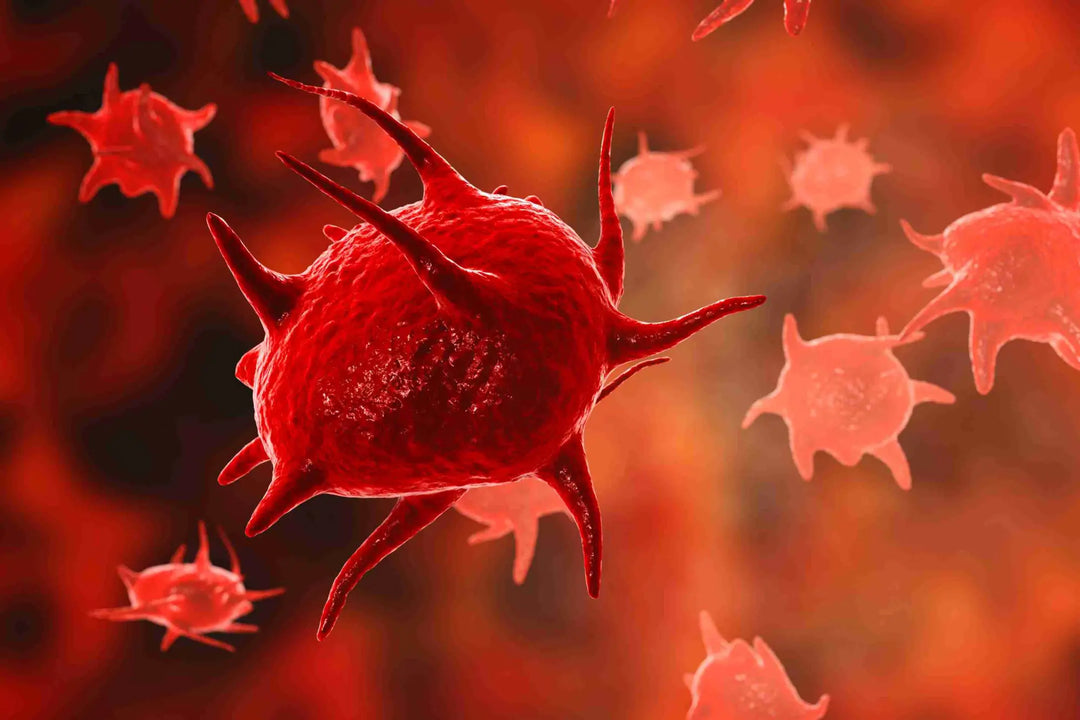 How Superfoods Support Low Blood Platelet Health Naturally