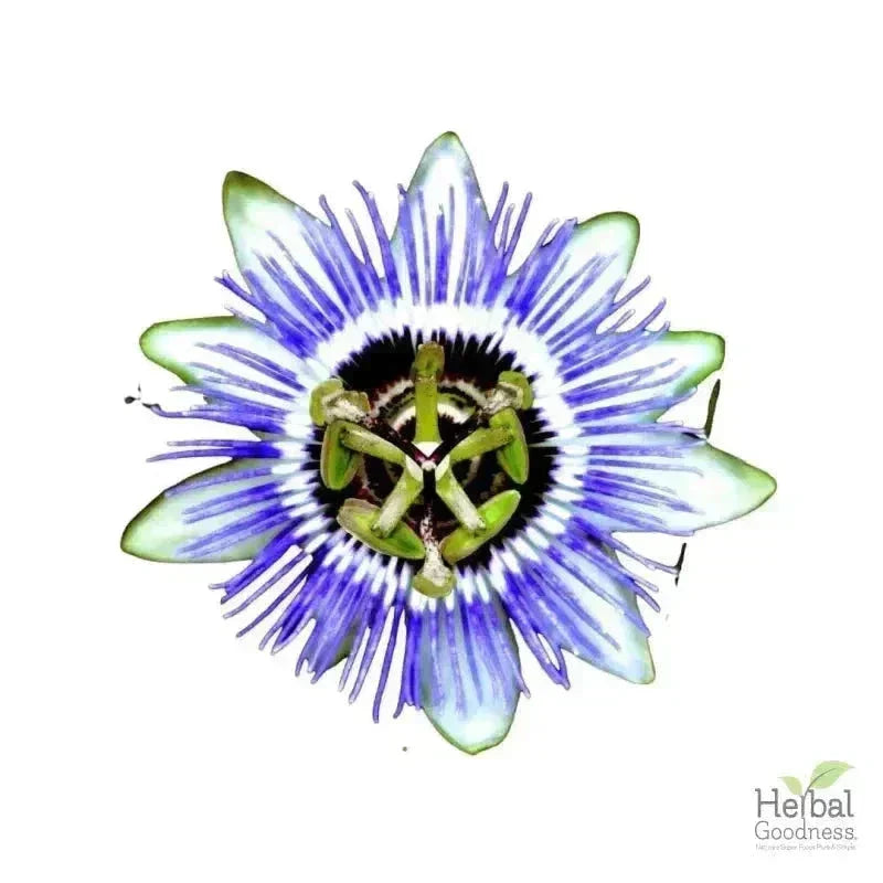 Passion Flower: The Natural Remedy for Stress and Sleep