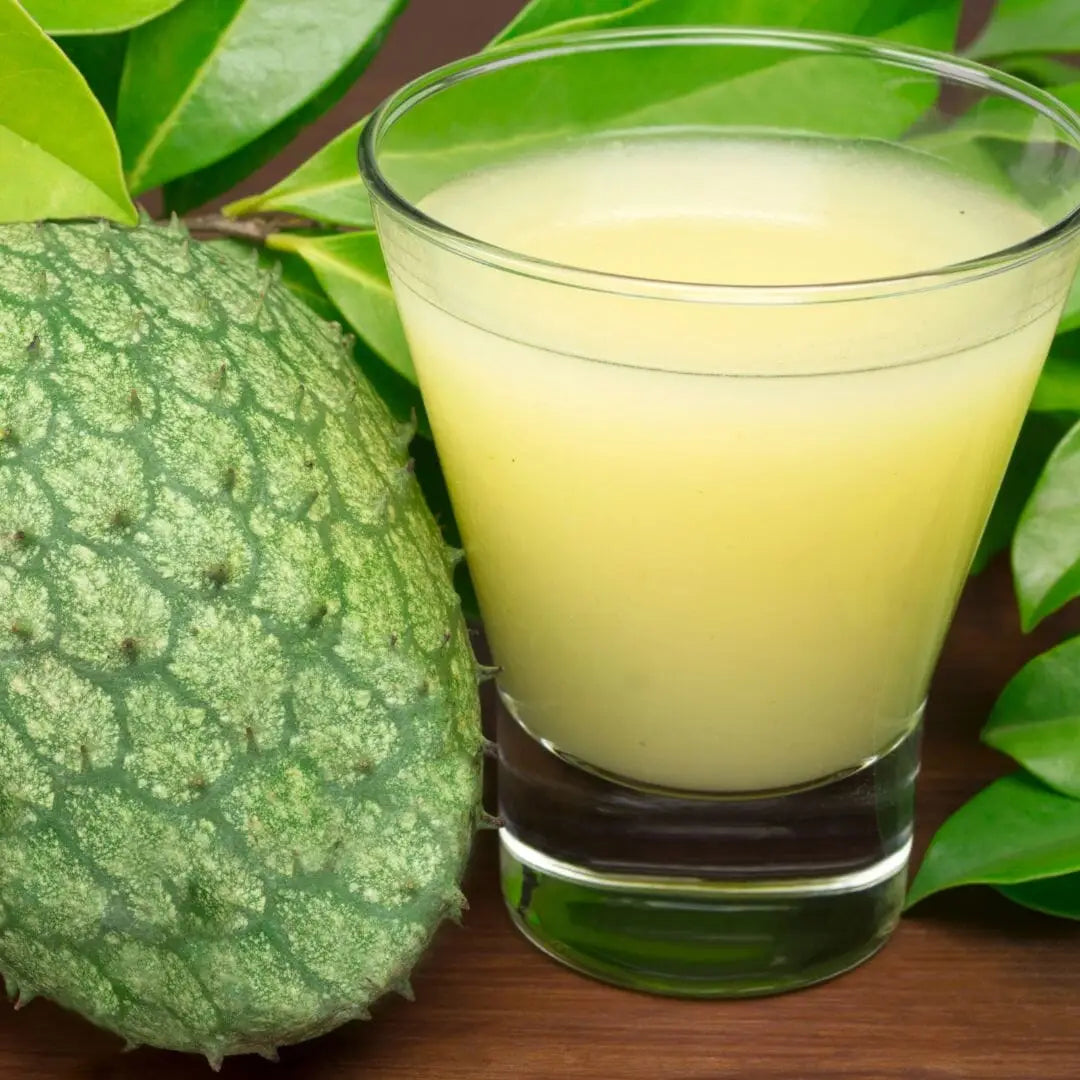 Soursop Tea Benefits You Should Know | Herbal Goodness