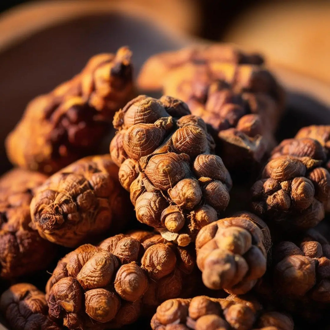 The Health Benefits of Maca Root: Nature’s Superfood for Energy, Hormonal Balance, and Vitality