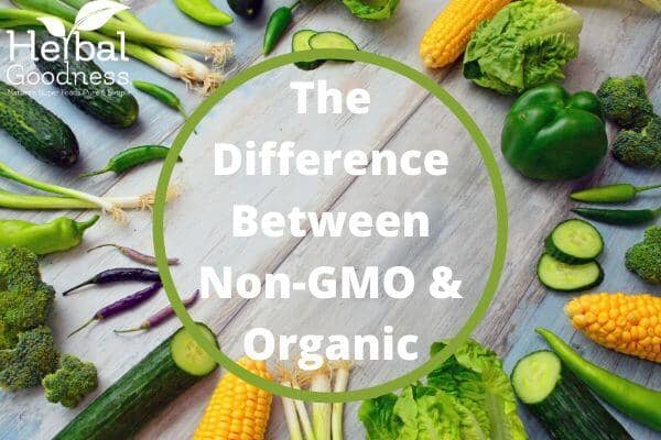 What’s the Difference between Non-GMO and Organic?  | Herbal Goodness