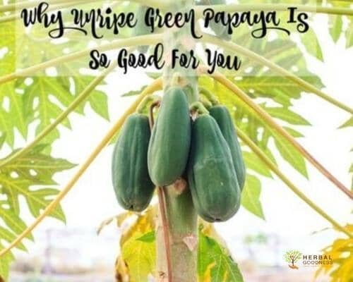 Why Unripe Green Papaya Is So Good For You | Herbal Goodness