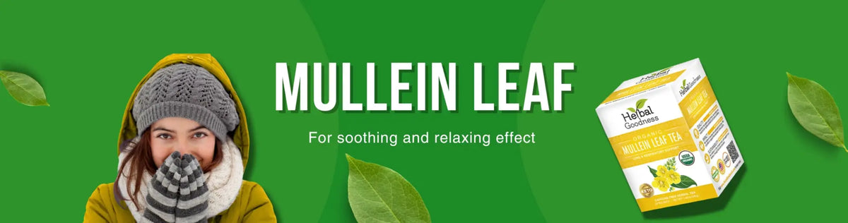 Mullein Leaf