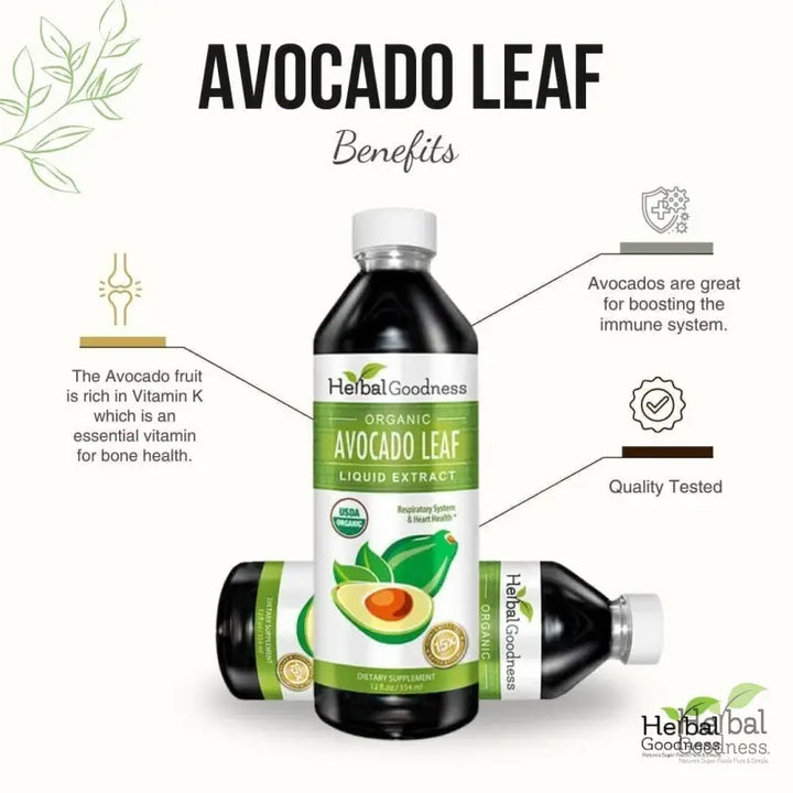 Avocado Leaf Extract - Organic - Liquid - Blood Sugar Support - Herbal Goodness Liquid Extract Herbal Goodness 