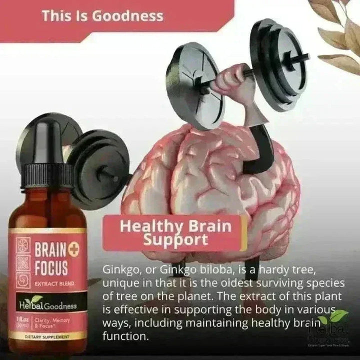 Herbal Goodness Brain &amp; Focus Plus 15X Liquid Extract, 1 oz bottle