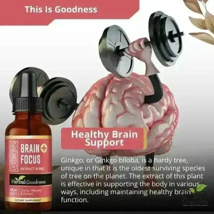 Brain &amp; Focus Plus | 15X Liquid Extract for Memory &amp; Cognitive Wellness Support Liquid Extract Herbal Goodness 