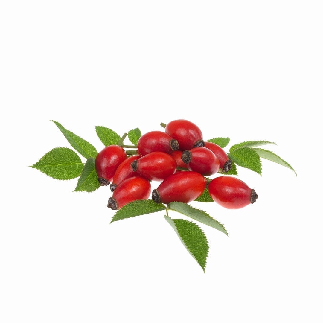 Bulk Herbs & Roots - 4oz Bulk Herb Herbal Goodness Rosehips 