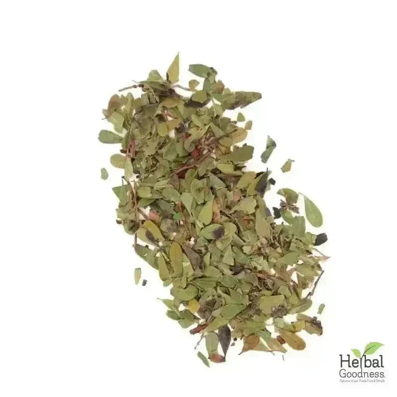 Bulk Herbs & Roots Online for Tea, Tinctures & DIY Wellness - Organic 4oz Bags Bulk Herb Herbal Goodness Spearmint 