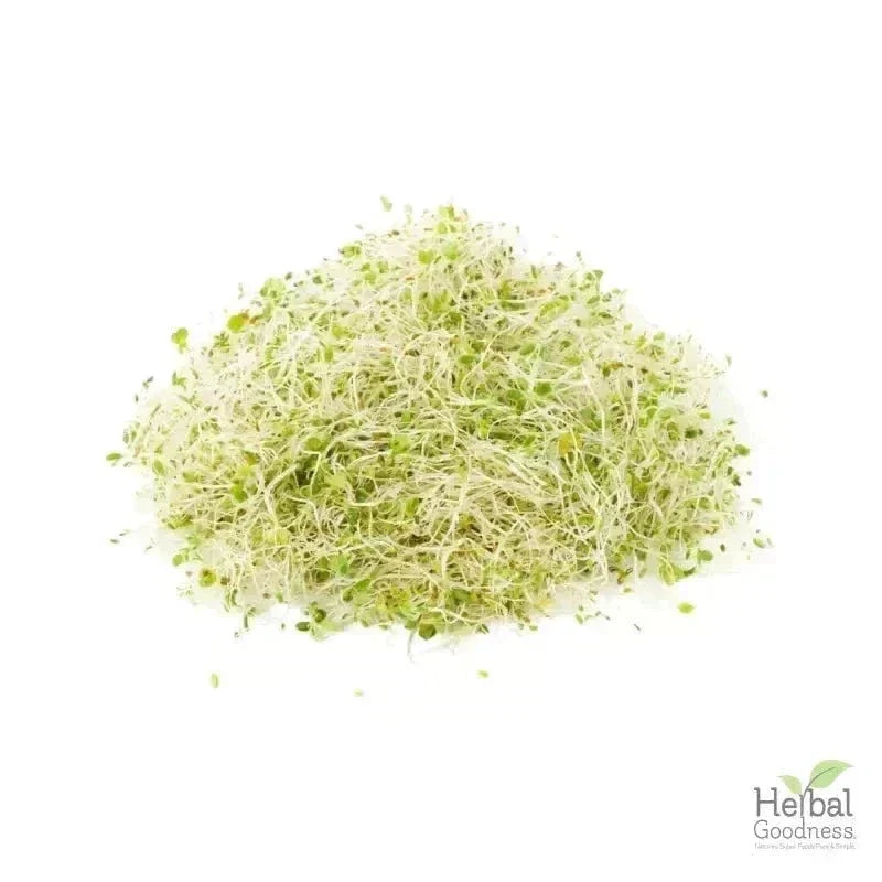 Bulk Herbs & Roots - Organic 4oz Bags - Herbal Tea Bulk Herb Herbal Goodness Alfalfa Leaf 