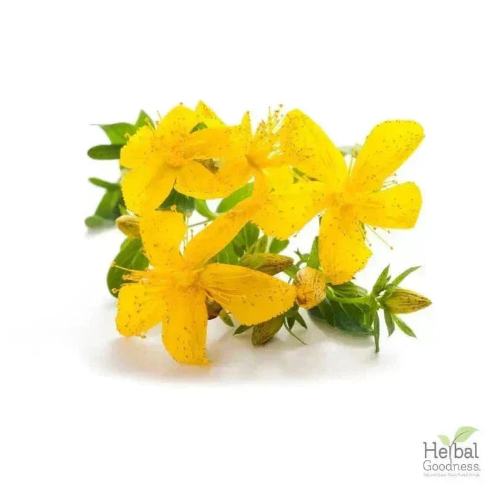 Bulk Herbs & Roots - Organic 4oz Bags - Herbal Tea Bulk Herb Herbal Goodness Chamomile Flower 