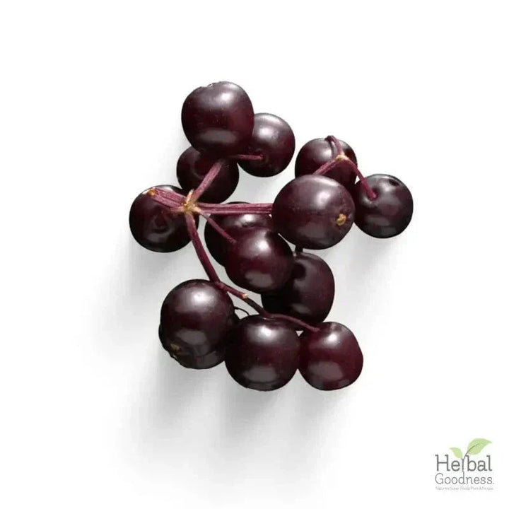 Bulk Herbs & Roots - 4oz Organic bulk teas for digestion, energy, detox Bulk Herb Herbal Goodness Elderberry Leaf 