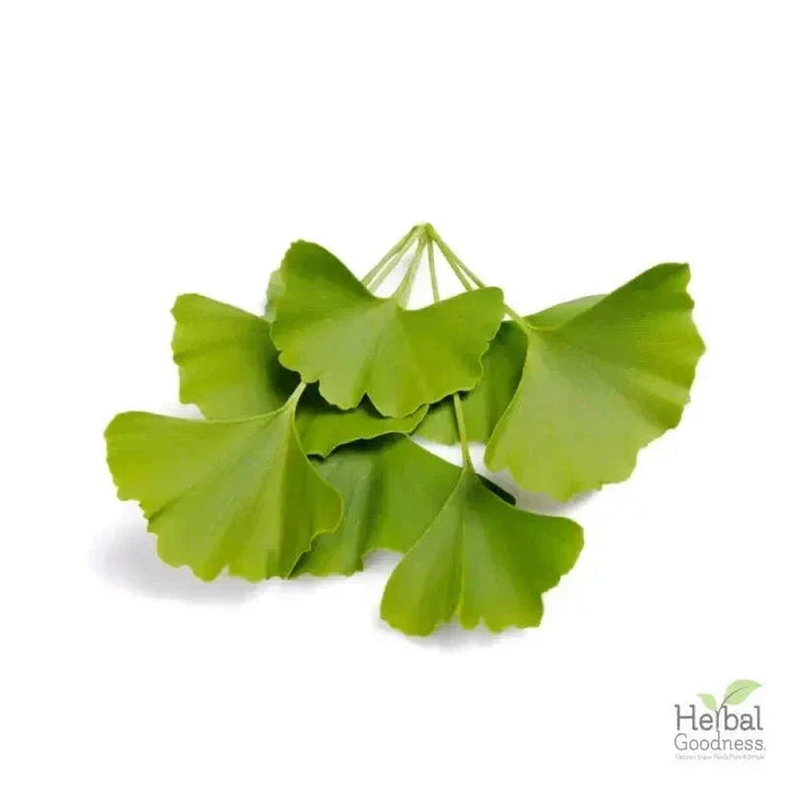 Bulk Herbs & Roots - Organic 4oz Bags - Herbal Tea Bulk Herb Herbal Goodness Ginkgo Biloba 