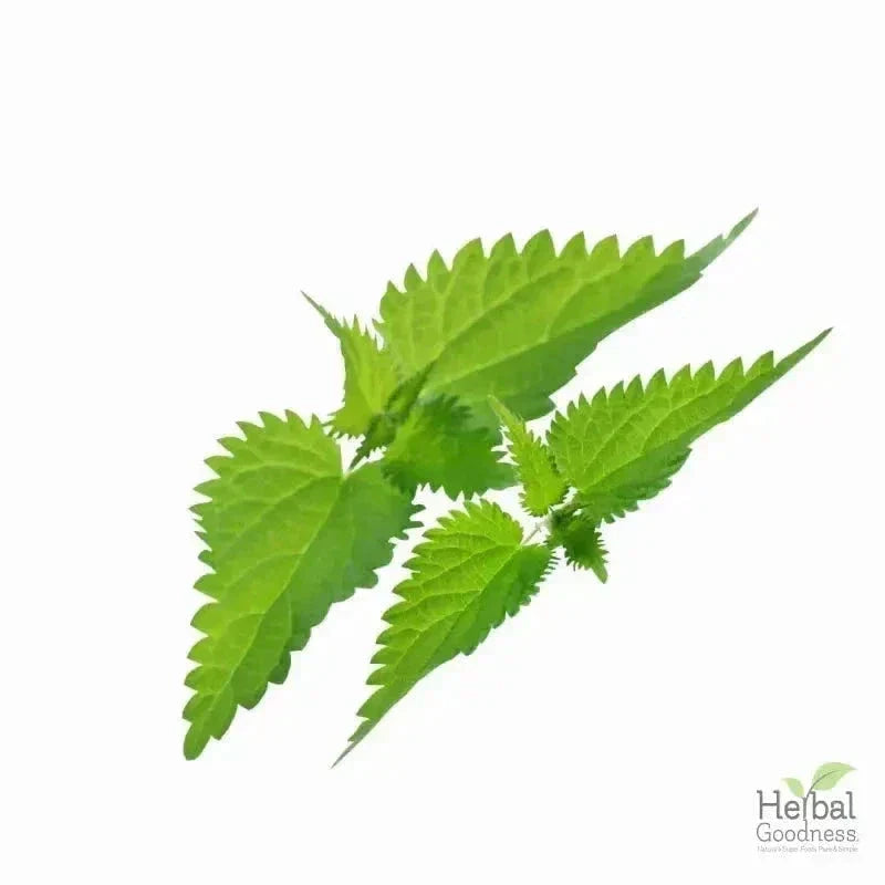 Bulk Herbs & Roots - Organic 4oz Bags - Herbal Tea Bulk Herb Herbal Goodness 