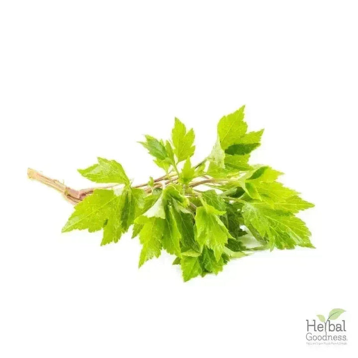 Bulk Herbs & Roots - Organic 4oz Bags - Herbal Tea Bulk Herb Herbal Goodness Mugwort Leaf 