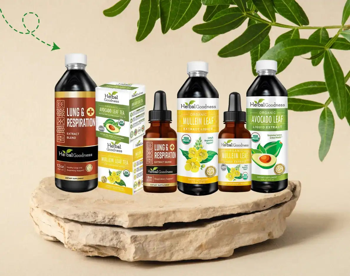 Collection of natural wellness products and supplements displayed on a stone platform with green leaves above.