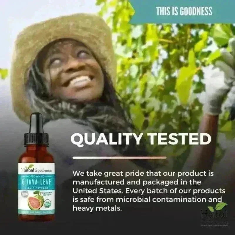 Guava Leaf - Organic 15X Liquid Extract - Immunity &amp; Herbal Health Liquid Extract Herbal Goodness 
