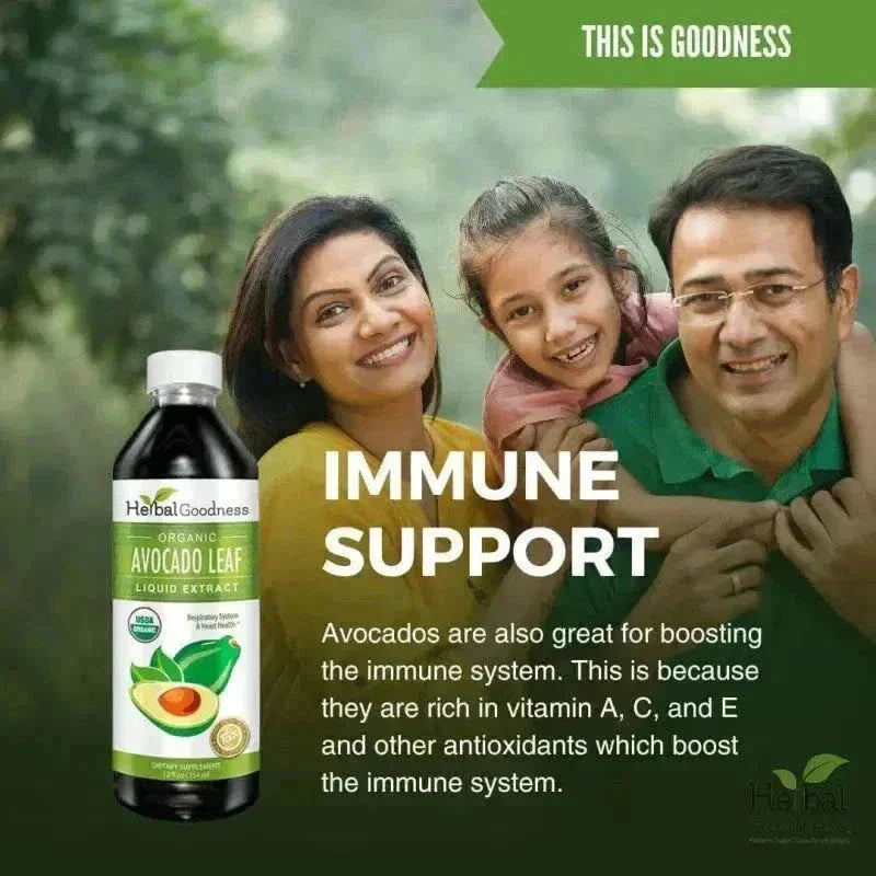 Avocado Leaf Extract - Liquid Extract - Herbal Goodness Liquid Extract Herbal Goodness 