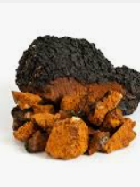 Charred mushroom powders showcasing lion’s mane for enhanced brain power in 8 oz pouch