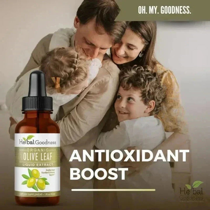 Olive Leaf - 15X Liquid Extract - Immunity &amp; Performance Liquid Extract Herbal Goodness 