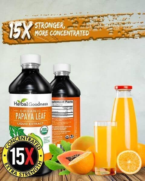 Papaya Leaf Extract - Organic - Liquid - 16oz - Platelets, Digestion & Immunity - Herbal Goodness Liquid Extract Herbal Goodness 