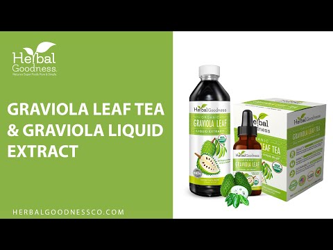 Soursop Graviola Leaf Tea - 100% Organic - Cell rejuvination