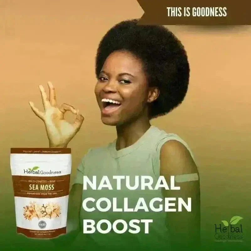 Sea Moss - Raw Dried from St Lucia - 8oz Bag - Nature's MultiVitamins Bulk Herb Herbal Goodness 