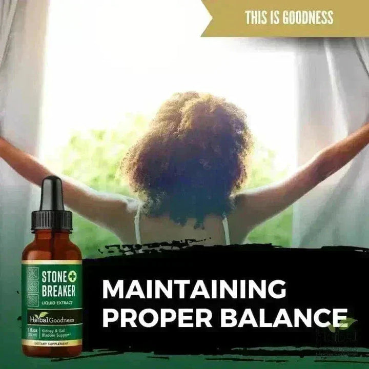 Stone Breaker Chanca Piedra - 15X Liquid Extract - Kidney Health Liquid Extract Herbal Goodness 