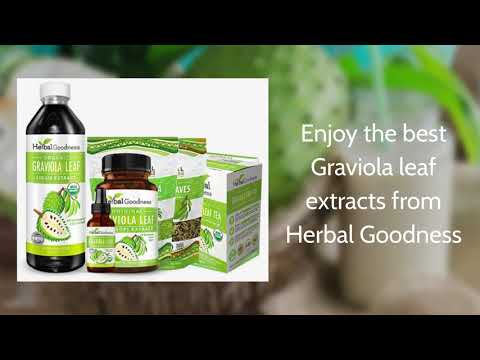 Graviola Soursop Leaf Extract – 10X 60/600mg Capsules - Cell Renew & Immunity